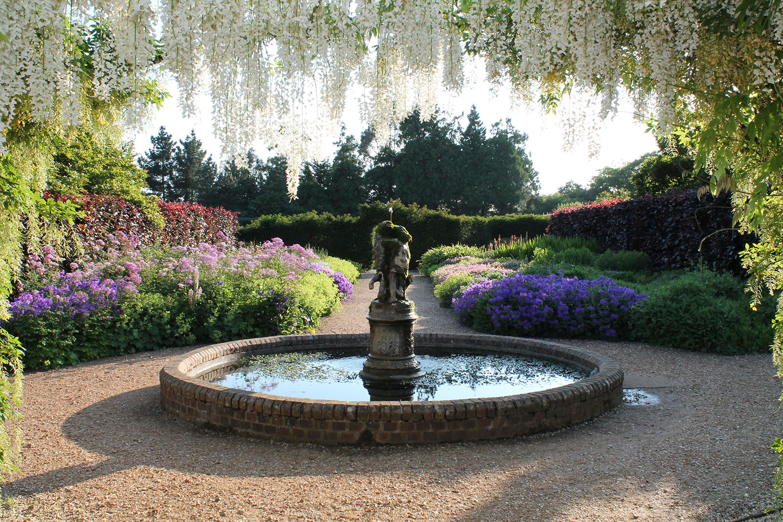 Beaulieu Wisteria fountain in the summer
