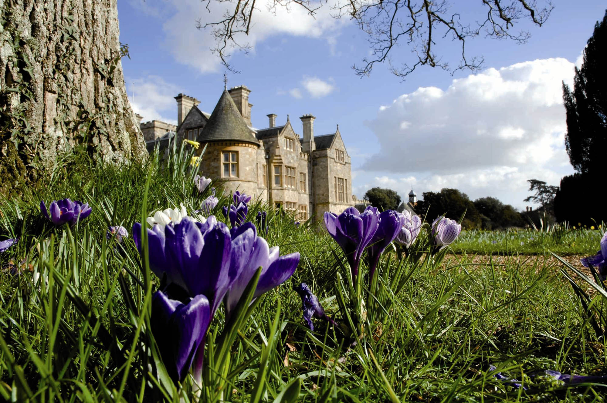 Beaulieu Hampshire in the summer 